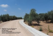 EL TIEMPO EN AGUILAR_Llega con fuerza el calor