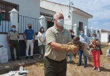 Una suelta de aves conmemoró en Zóñar el Día del Medioambiente